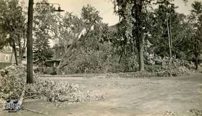 Fallen trees and damage, 1933