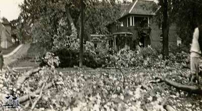 Fallen trees and damage, 1933