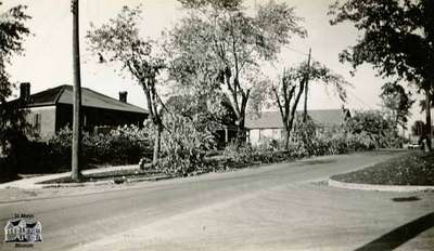 Fallen trees and damage, 1933