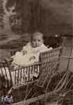 Baby in a carriage