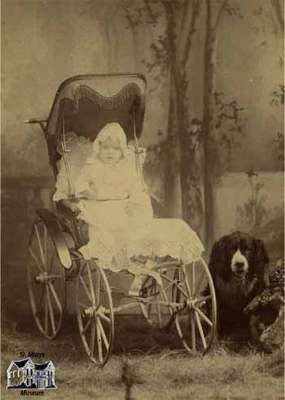 Baby seated in a carriage with a dog beside it