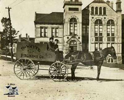 Horse with carriage that reads &quot;The Whyte Packing Co.&quot; in front of the Stratford Court House