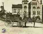 Horse with carriage that reads "The Whyte Packing Co." in front of the Stratford Court House
