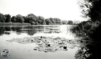 The Thames, ca. 1950