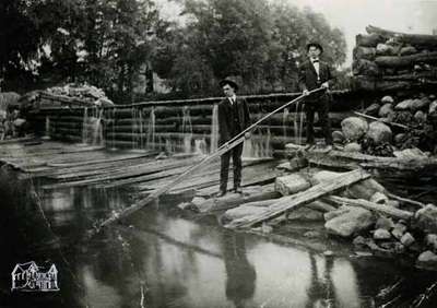 Iredale's Dam on Trout Creek, 1905