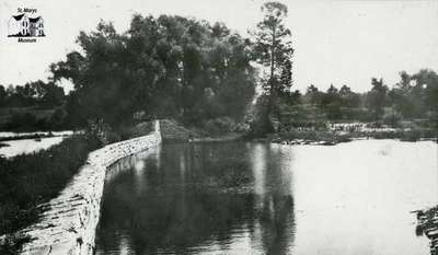 Part of the remains of Cruttenden/Nicol/Near/Matheson Dam at Water Street South around 1919