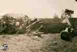 Plane crash of Leovens Brothers on George Allen Farm, 1937