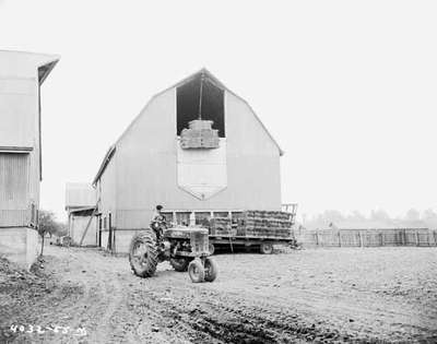 Hoisting Hay Bales into a Barn