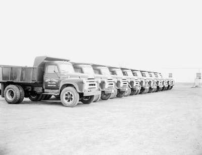 Trucks Parked in a Row, Brampton, ON