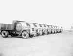 Trucks Parked in a Row, Brampton, ON
