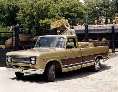 Unidentified Man Feeding Bison from the Back of a Truck