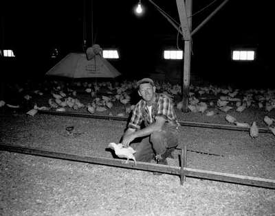 Eldon Fletcher of Binbrook in a Poultry House, Binbrook, ON