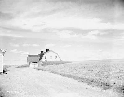 Barn Next to a Potato Field, Grand Falls, NB