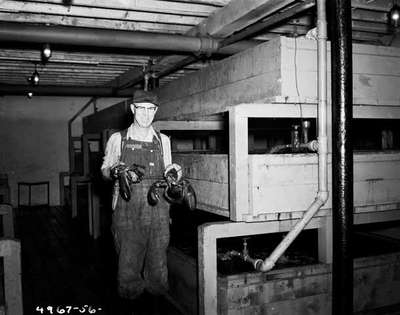 Unidentified Man Holding Lobsters, Shediac, NB