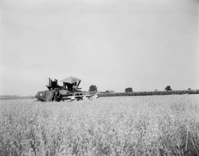 Combine Harvesting