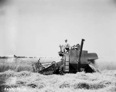 Harvesting in Jarvis, Ontario.