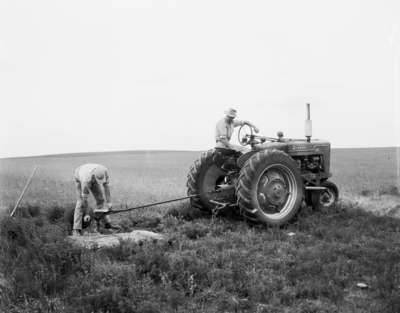 Digging fence holes at the Fred Prentiss & Sons farm, Assiniboia, Saskatchewan.