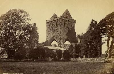 Sweetheart Abbey