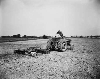 Disking with an IHC 350 tractor and IHC C44 disk harrows.