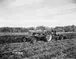 Harvesting potatoes.