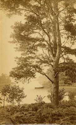 In Luss Straits, Loch Lomond