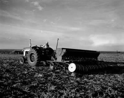 Planting with an IHC #150 shovel press seed drill and an IHC 660 tractor, in Western Canada.