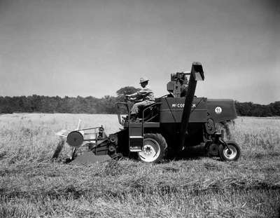 Harvesting with an IHC McCormick #91 self-propelled combine near Walker's Line.