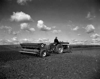 Planting with an IHC 240 tractor and an IHC McCormick 16x6 inch seed drill, on the Sanitorium Farm, Hamilton Mountain.