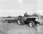 Ploughing using an IHC 460 tractor and an IHC McCormick chisel plough.