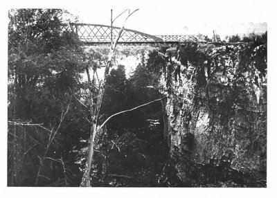 View of the first Irvine bridge, David St., Elora.