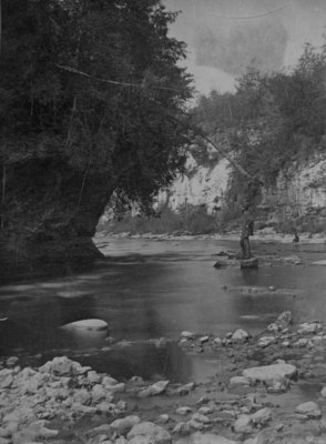 View of Elora Gorge.