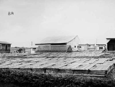 Greenhouses