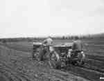 Unidentified Men Planting Potatoes, Sherbrooke, QC