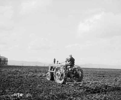 Harrowing a Field