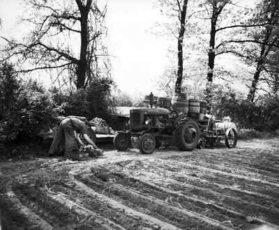 Unidentified Farmer Planting Tobacco, Simcoe, ON