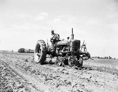 Cultivating a Corn Field