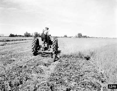 Mowing a Field