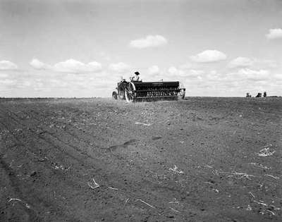 Farmer Sowing Seeds in a Field