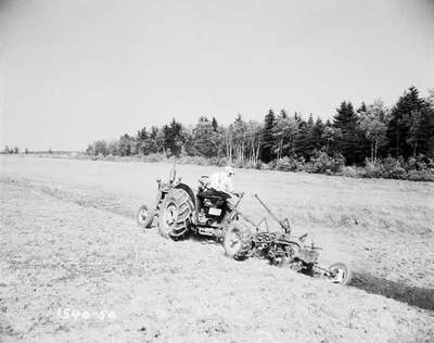 Ploughing [Plowing] a Field