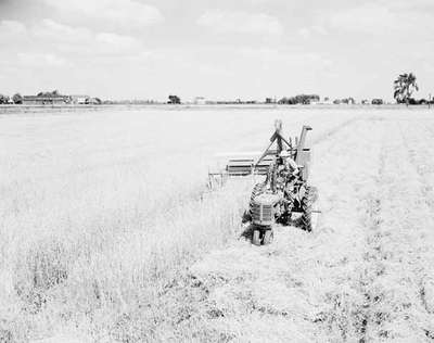 Combine Harvesting