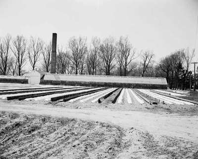 Greenhouses