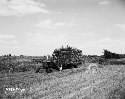 Threshing, Lambeth, ON