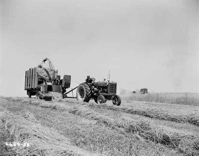 Harvesting, Agincourt, ON