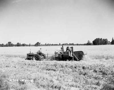 Combine Harvesting