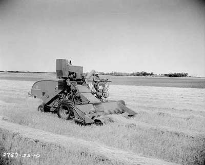 Combine Harvesting, Brandon, MB