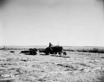 Baling Hay, Brandon, MB