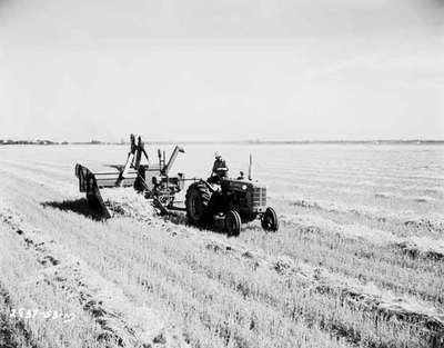 Combine Harvesting