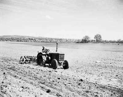 Harrowing a Field, Renfrew, ON