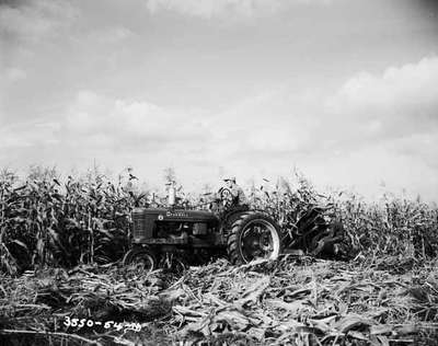 Harvesting Corn, Millgrove, ON