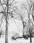 Truck With Tree Trimming Unit is Used to Prune Trees, Hamilton, ON